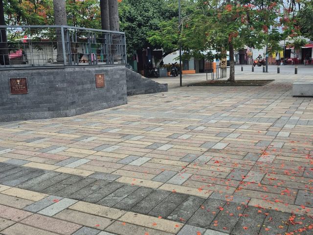 place photo 48