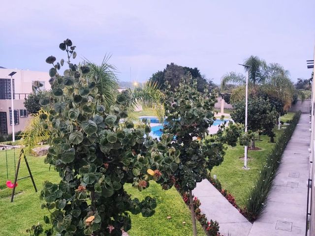place photo 33