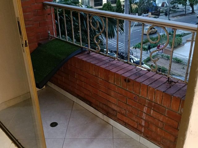 place photo 17