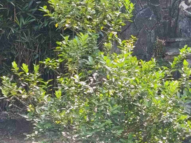place photo 34