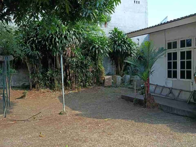 place photo 46