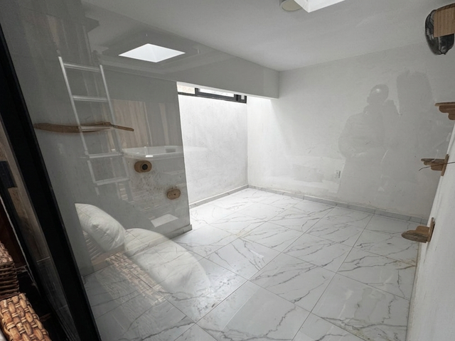 place photo 43