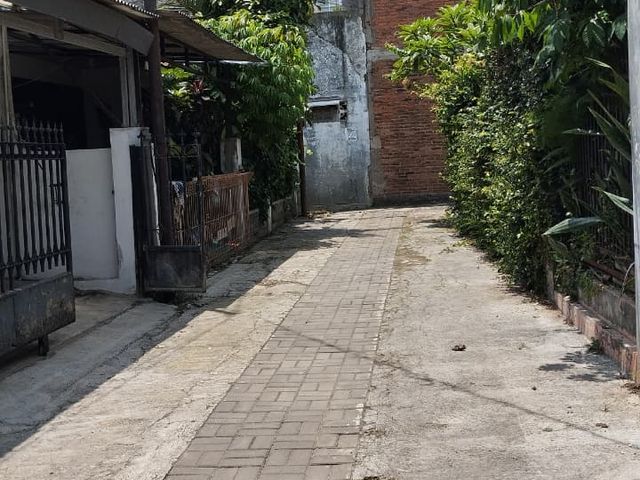 place photo 6