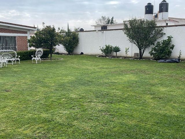 place photo 46