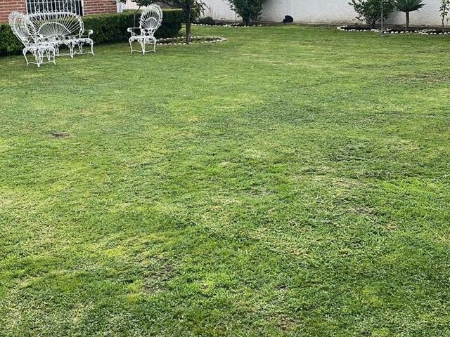 place photo 48