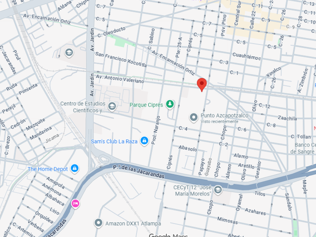 place photo 10