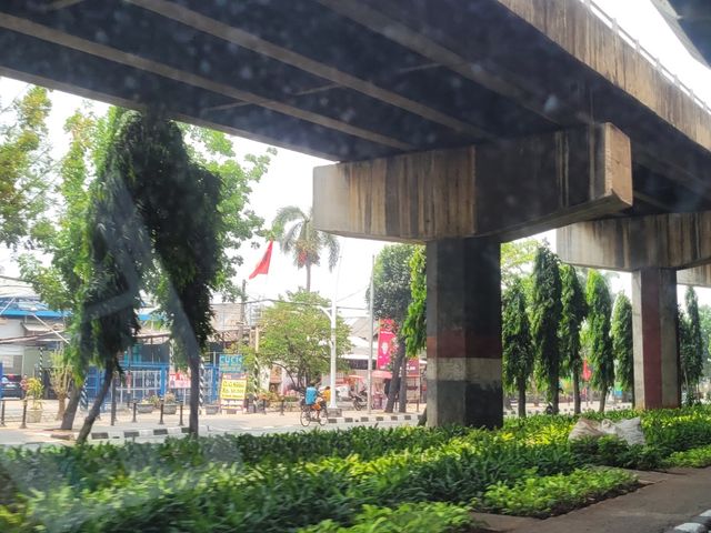 place photo 31