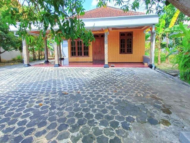 place photo 7