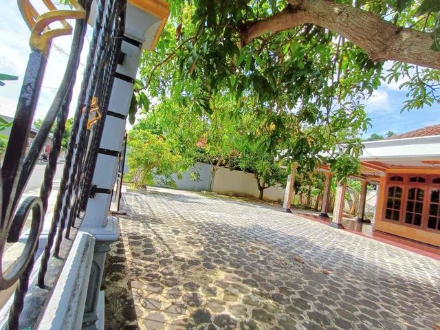 place photo 13