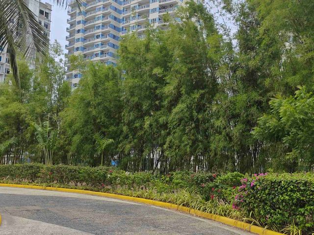 place photo 36