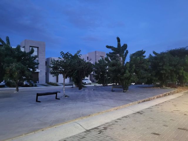 place photo 24