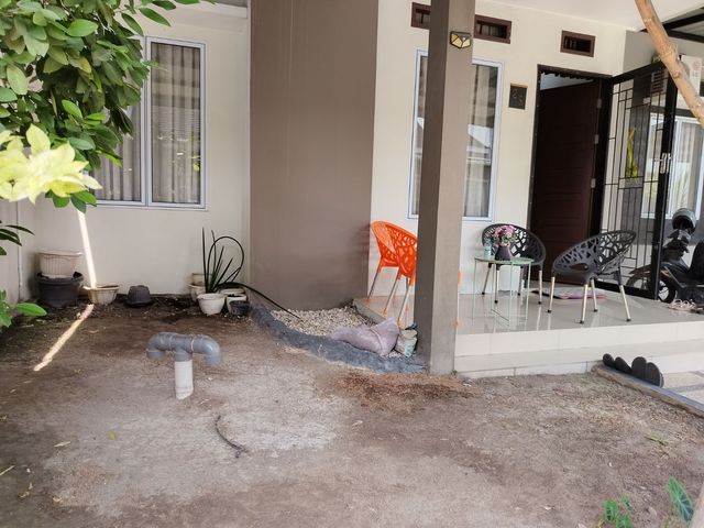 place photo 8