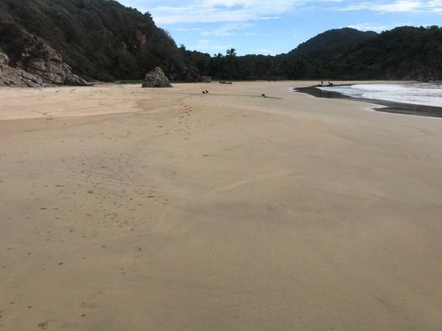 place photo 28