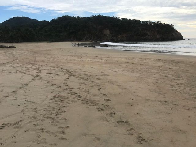 place photo 33