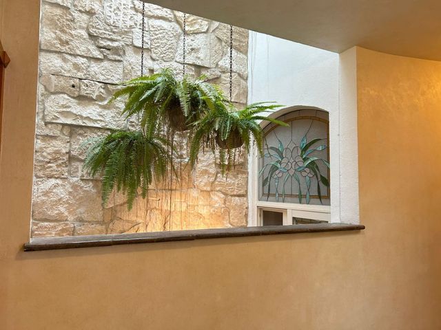 place photo 43
