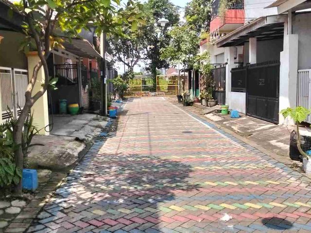 place photo 8