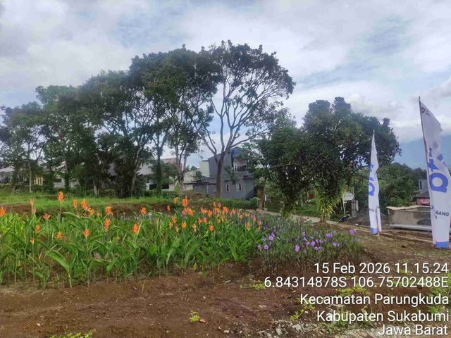 place photo 14