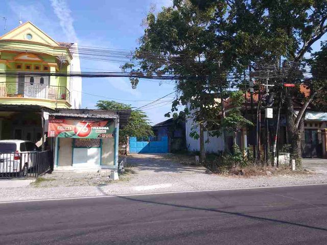 place photo 7