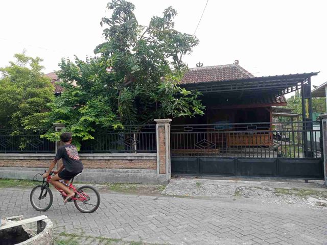 place photo 3