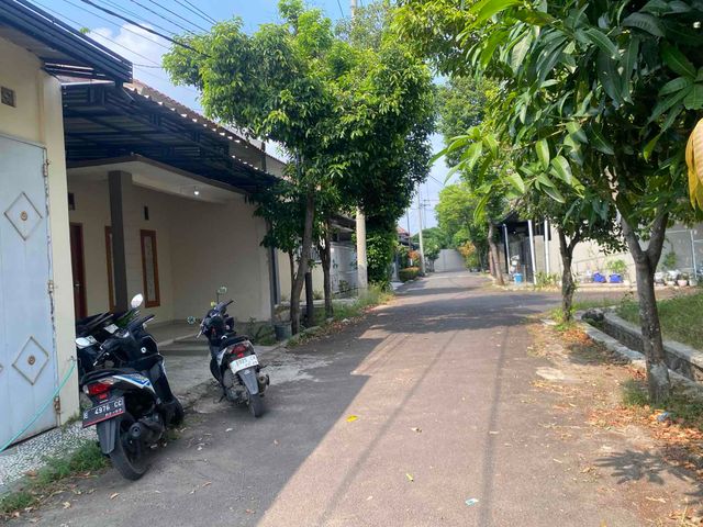 place photo 10
