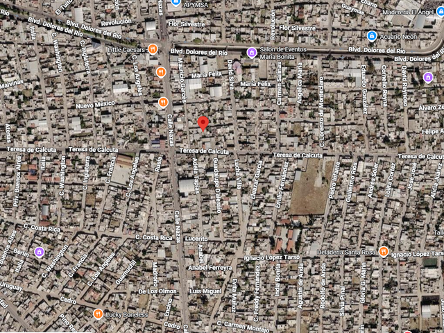 place photo 12