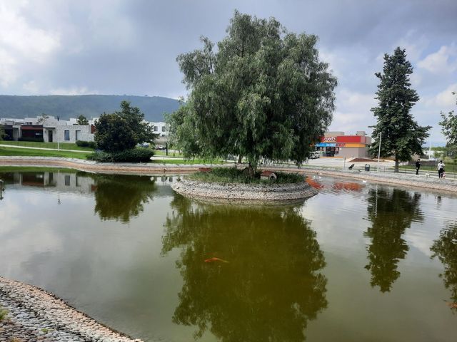 place photo 6