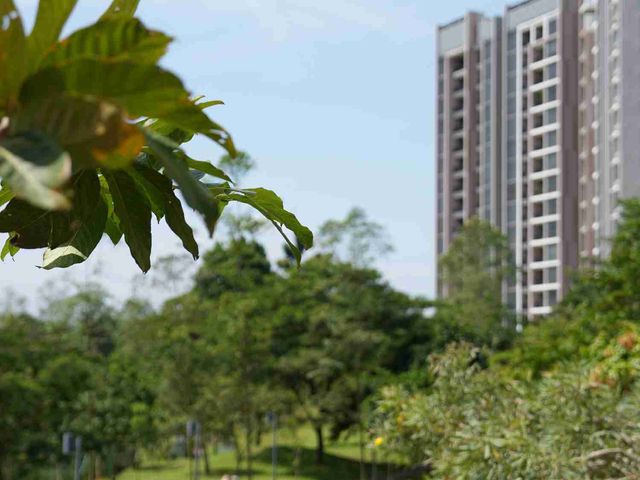 place photo 26