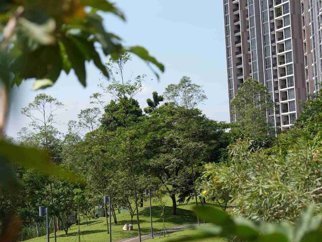 place photo 24