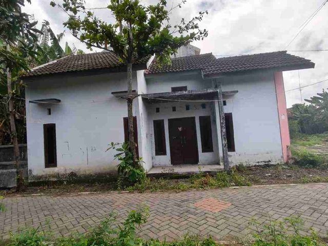 place photo 1
