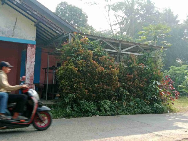 place photo 7