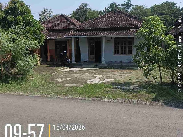 place photo 6