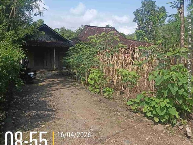 place photo 3