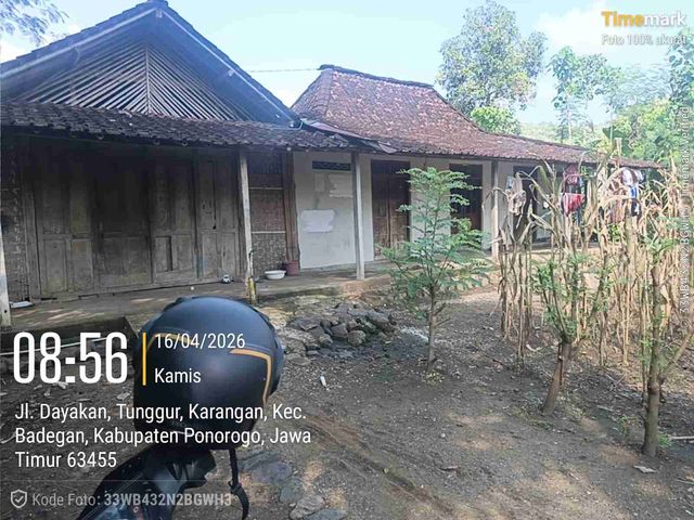 place photo 6