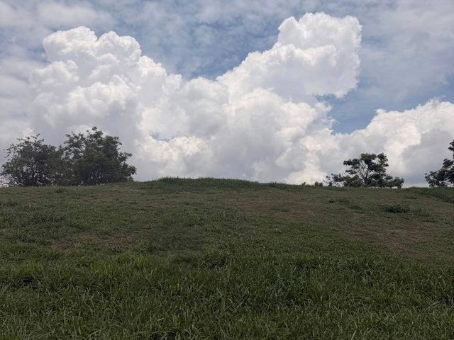 FOR SALE: 467 SQM Residential Lot in Ayala Westgrove Heights, Silang, Cavite