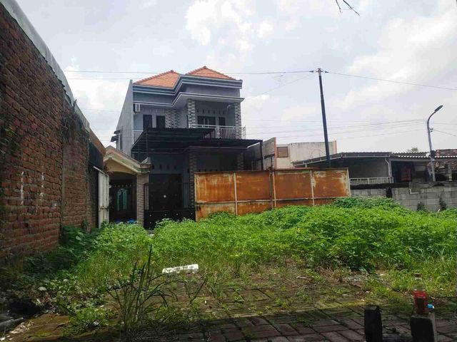 place photo 9