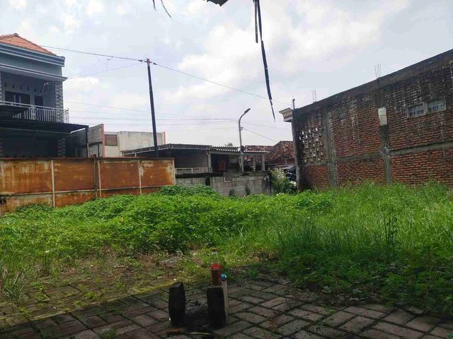 place photo 12