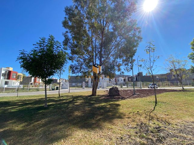 place photo 36
