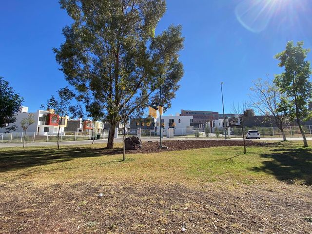 place photo 37
