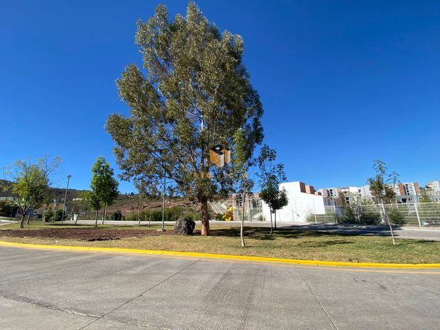 place photo 38