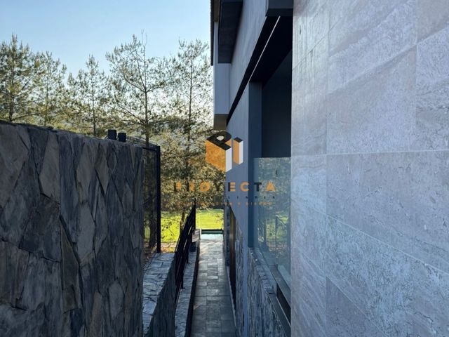 place photo 60