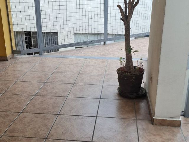 place photo 46