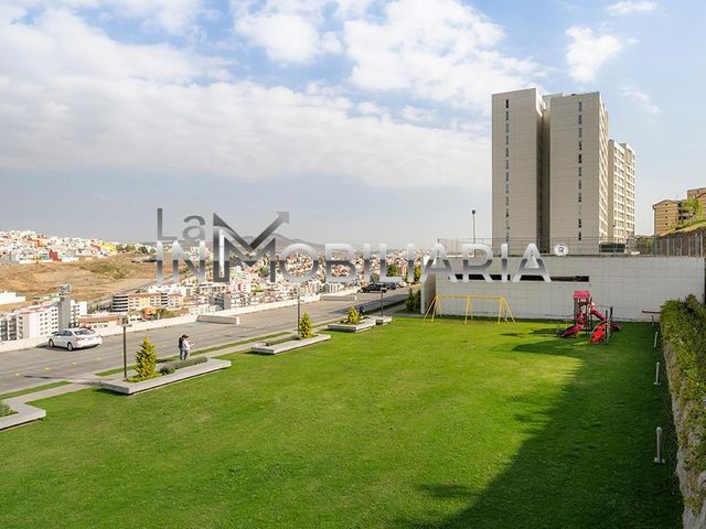 place photo 40