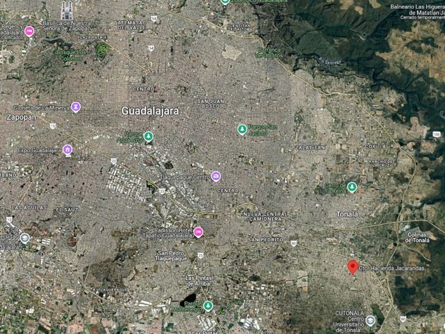 place photo 12