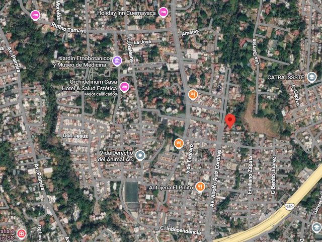place photo 10