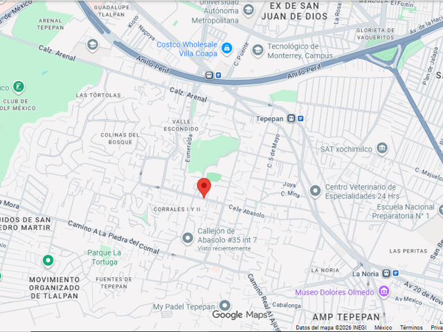 place photo 10