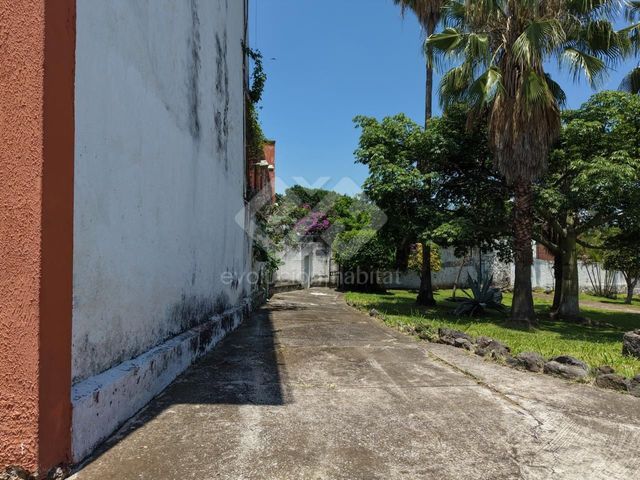 place photo 19