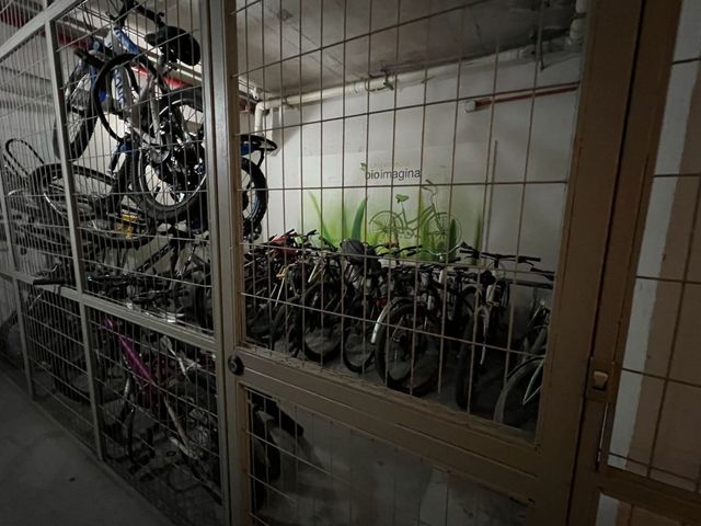 place photo 42
