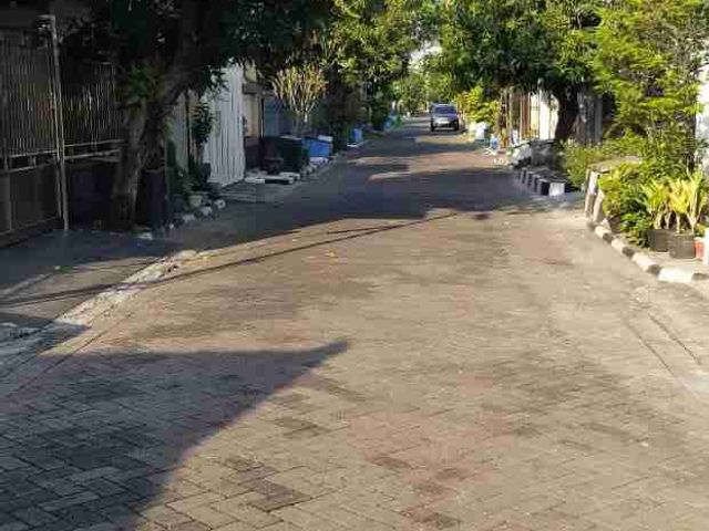 place photo 12