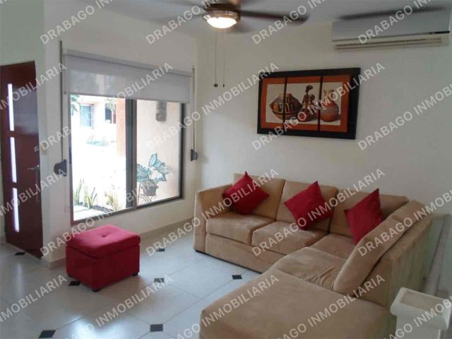 place photo 23