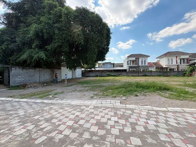 place photo 7